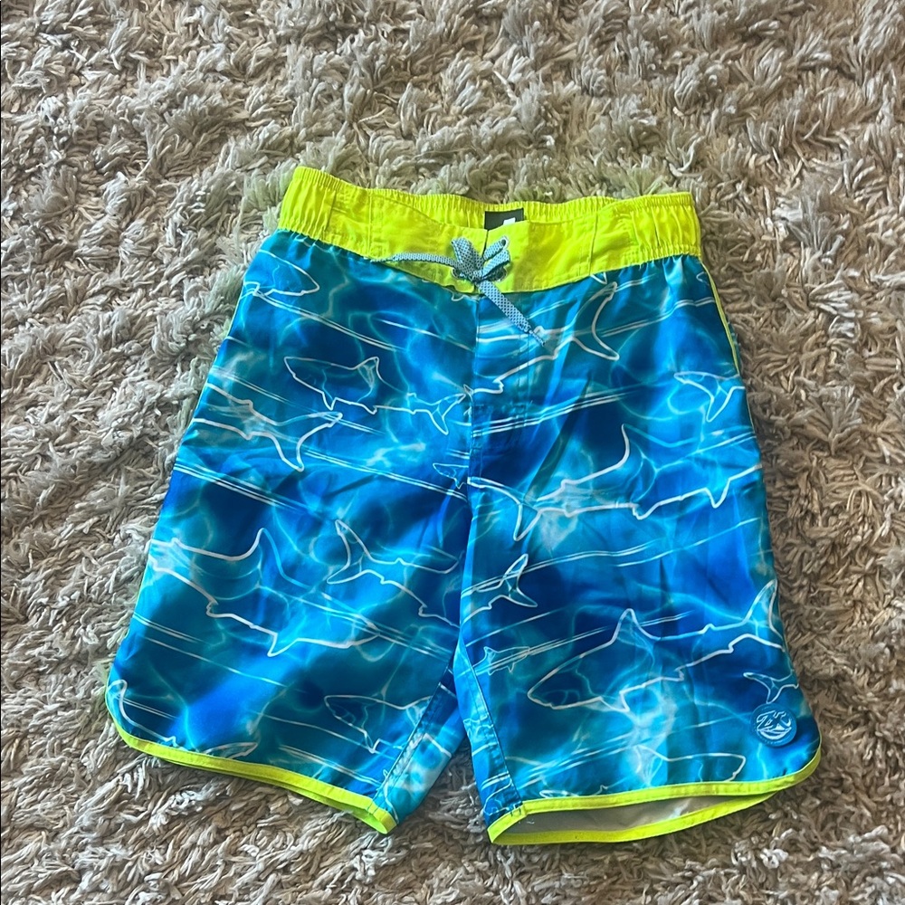 ZeroXposur Neon Green and Gray Swim Shorts